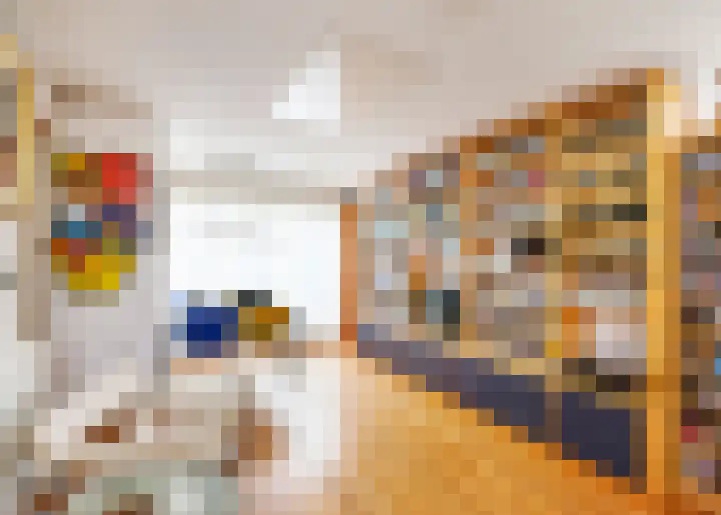 De Baan 23 Warmenhuizen thumbnail 14