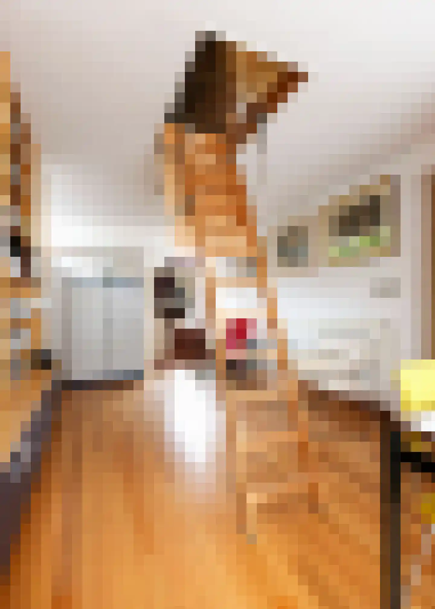 De Baan 23 Warmenhuizen thumbnail 15