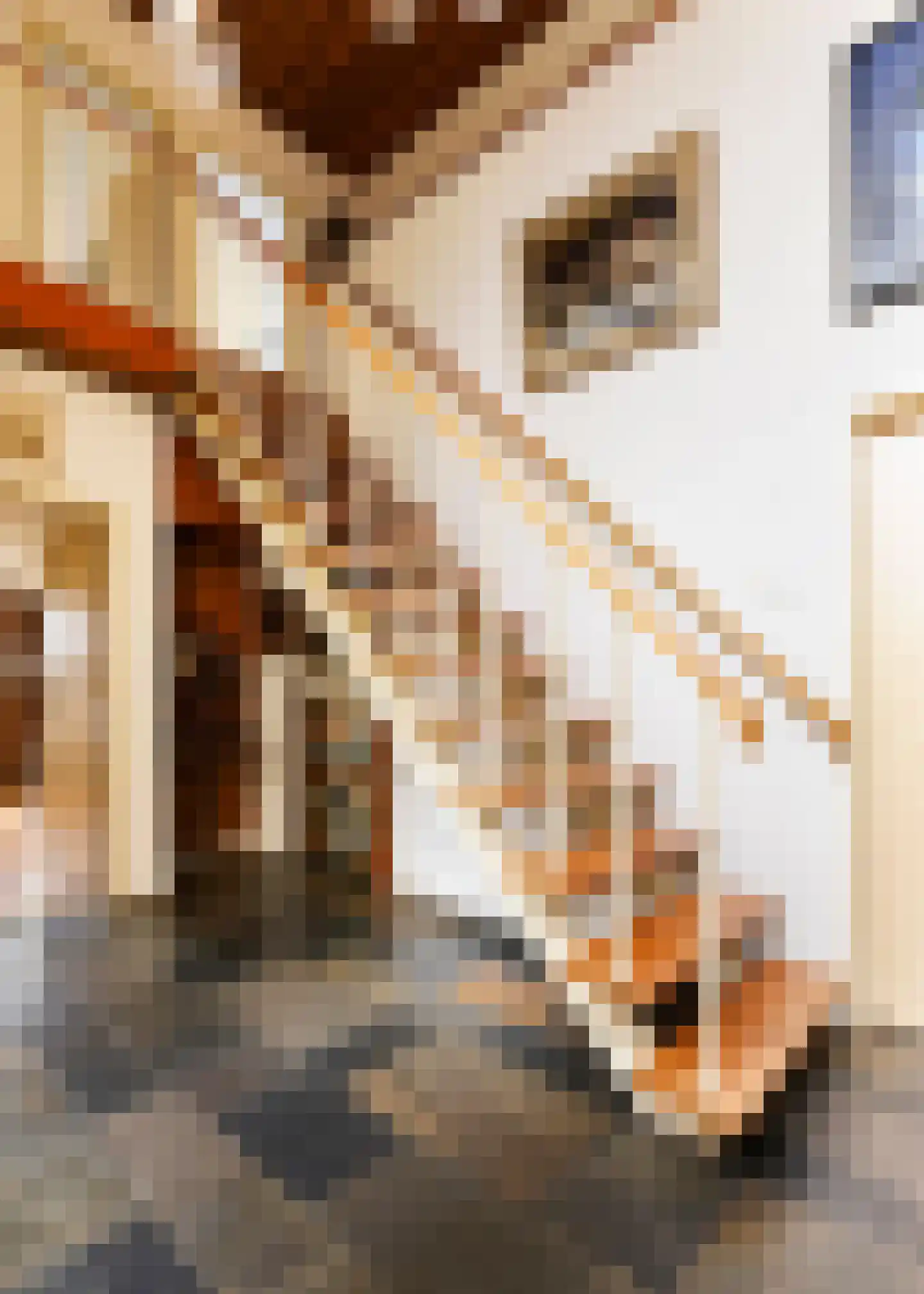 De Baan 23 Warmenhuizen thumbnail 17