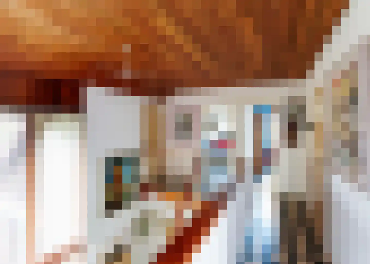 De Baan 23 Warmenhuizen thumbnail 19