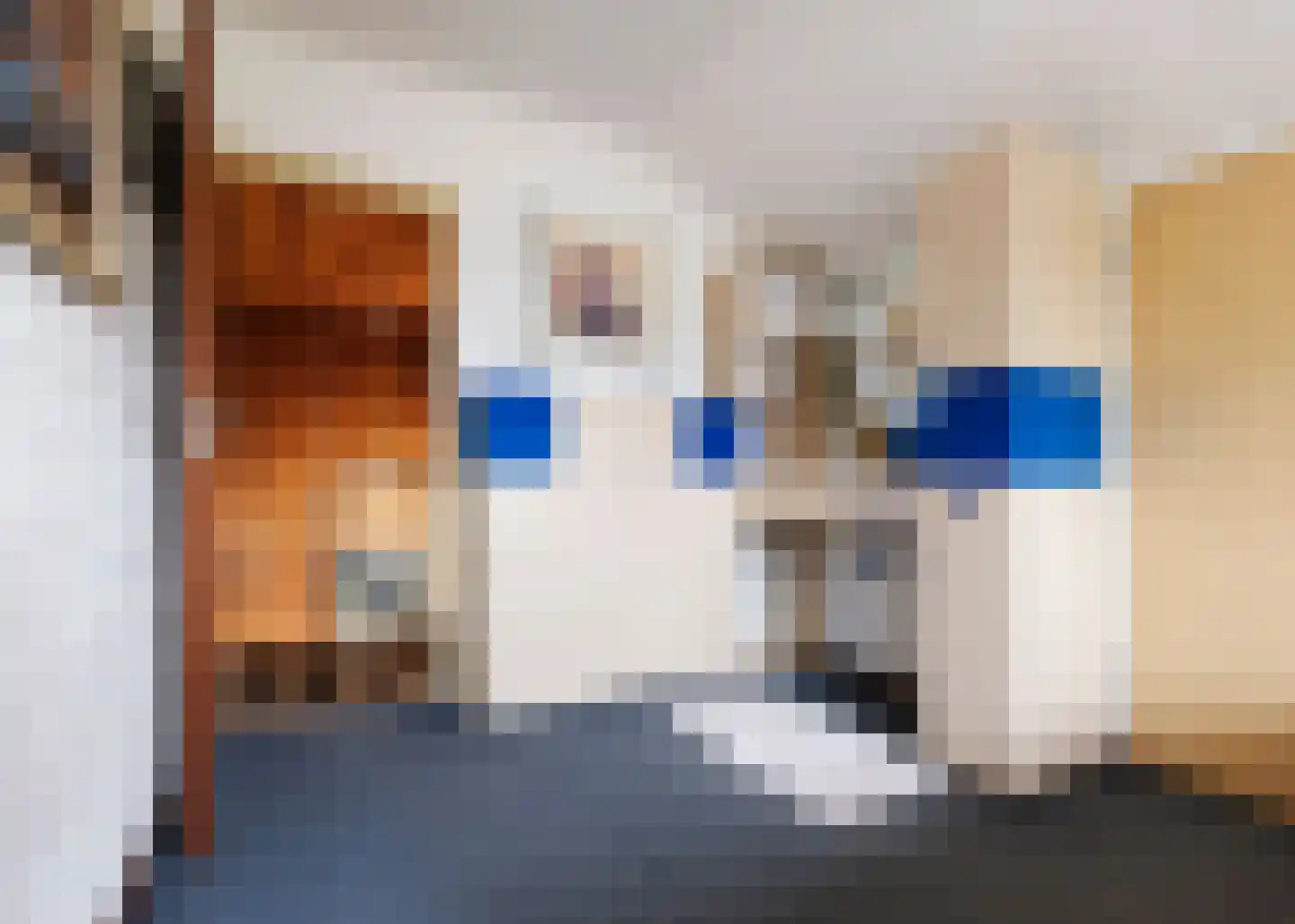 De Baan 23 Warmenhuizen thumbnail 21