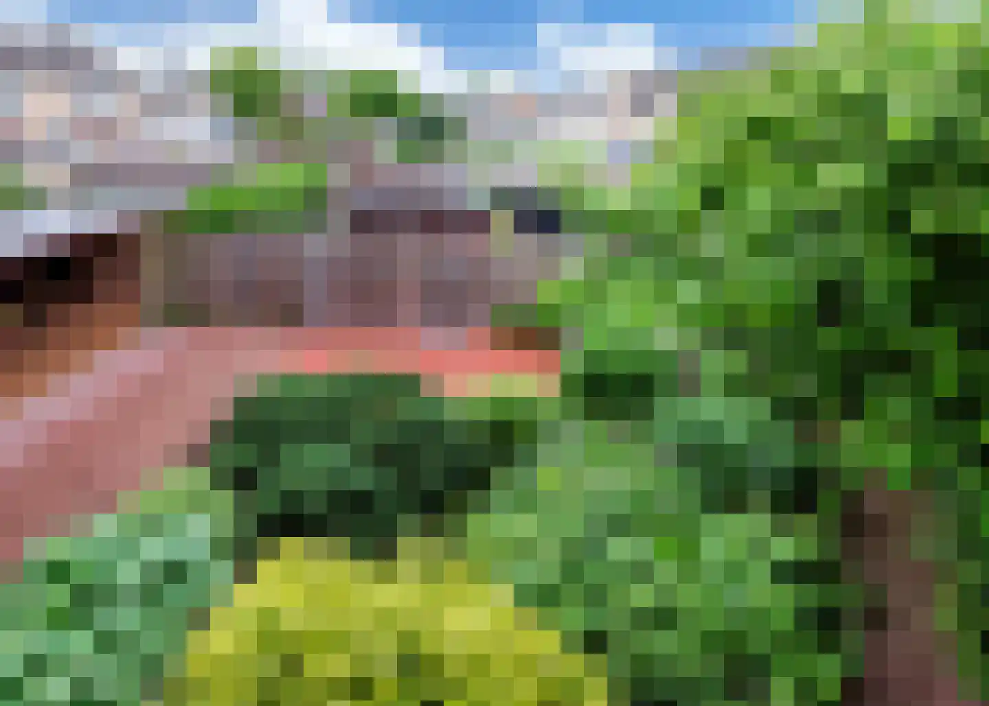De Baan 23 Warmenhuizen thumbnail 25