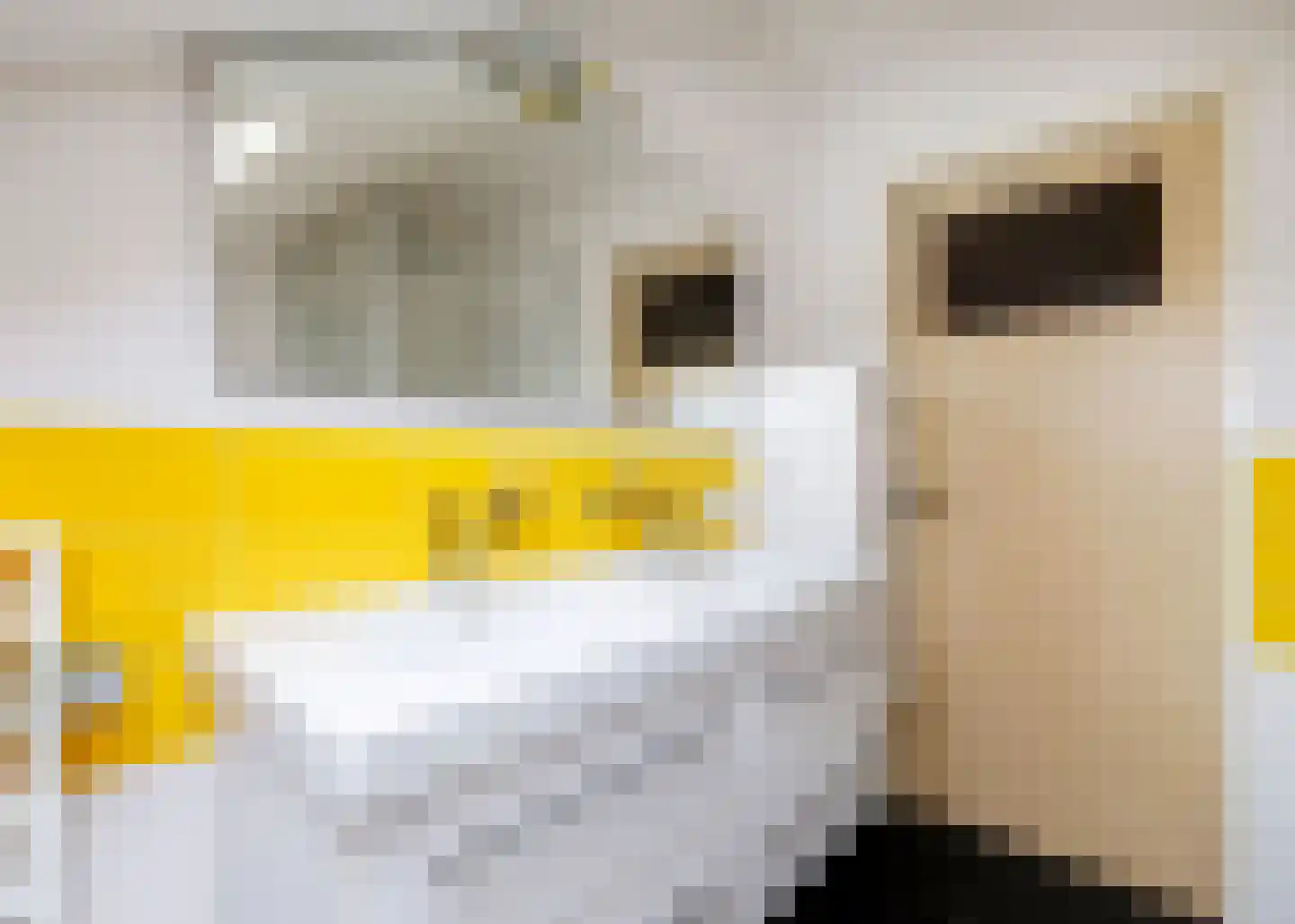 De Baan 23 Warmenhuizen thumbnail 32