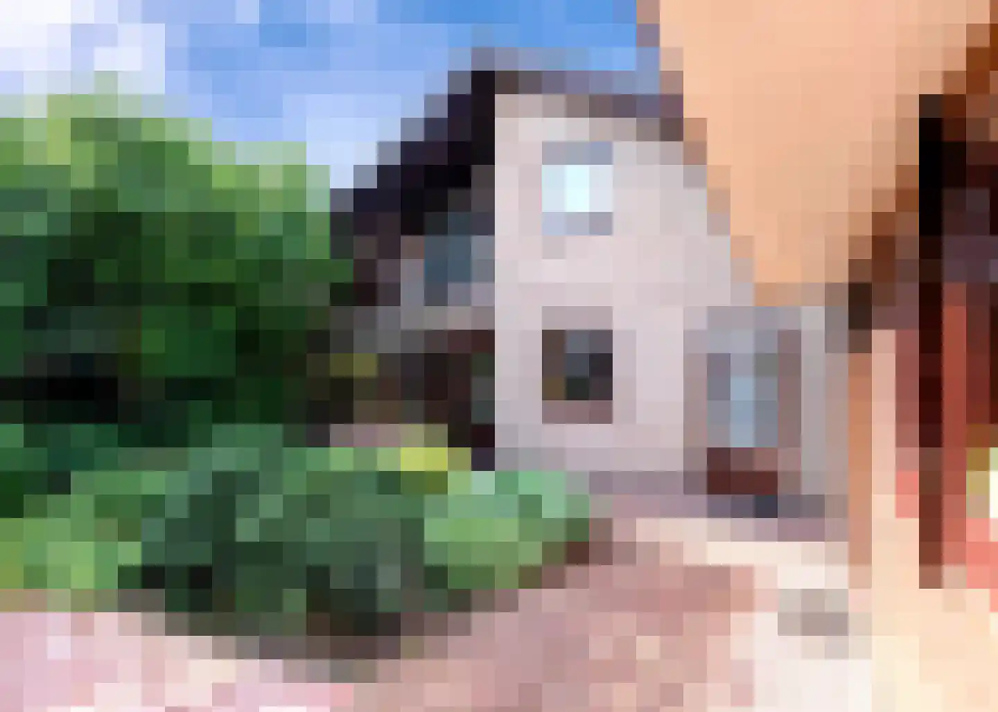 De Baan 23 Warmenhuizen thumbnail 34