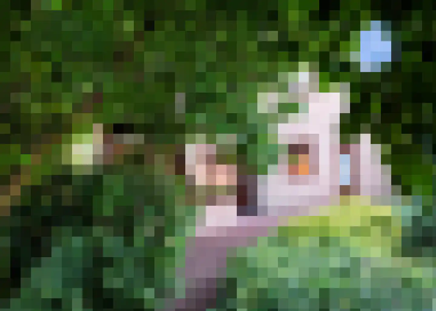 De Baan 23 Warmenhuizen thumbnail 36