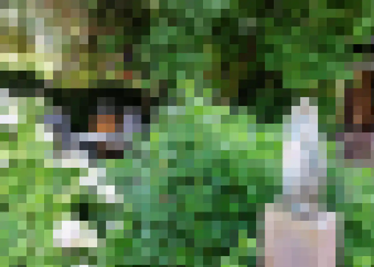 De Baan 23 Warmenhuizen thumbnail 38