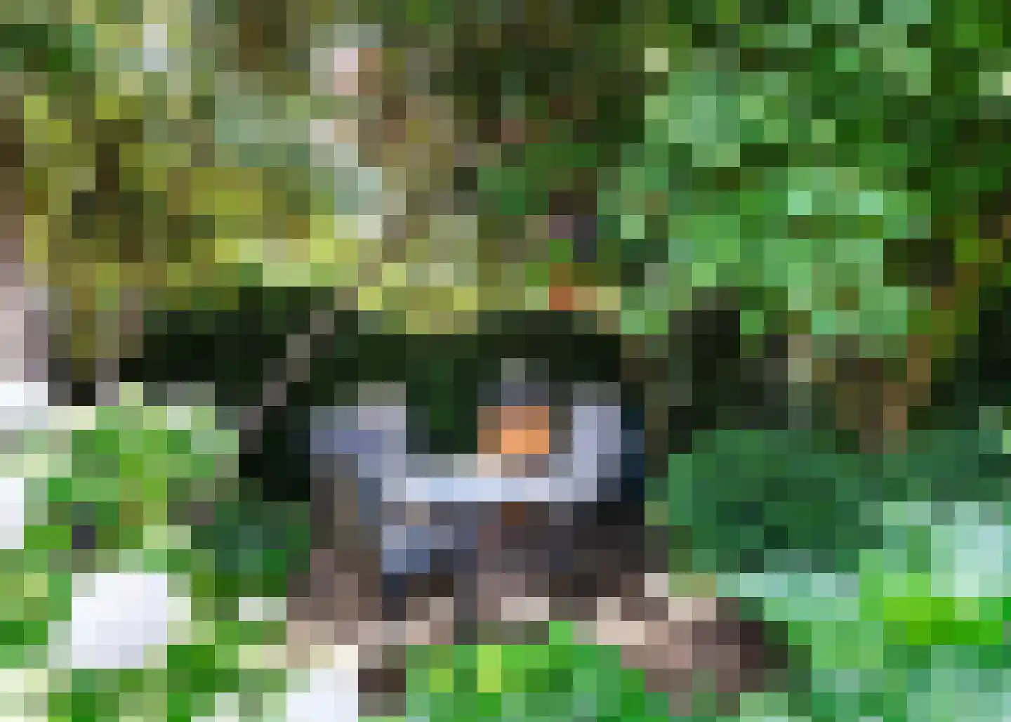 De Baan 23 Warmenhuizen thumbnail 39