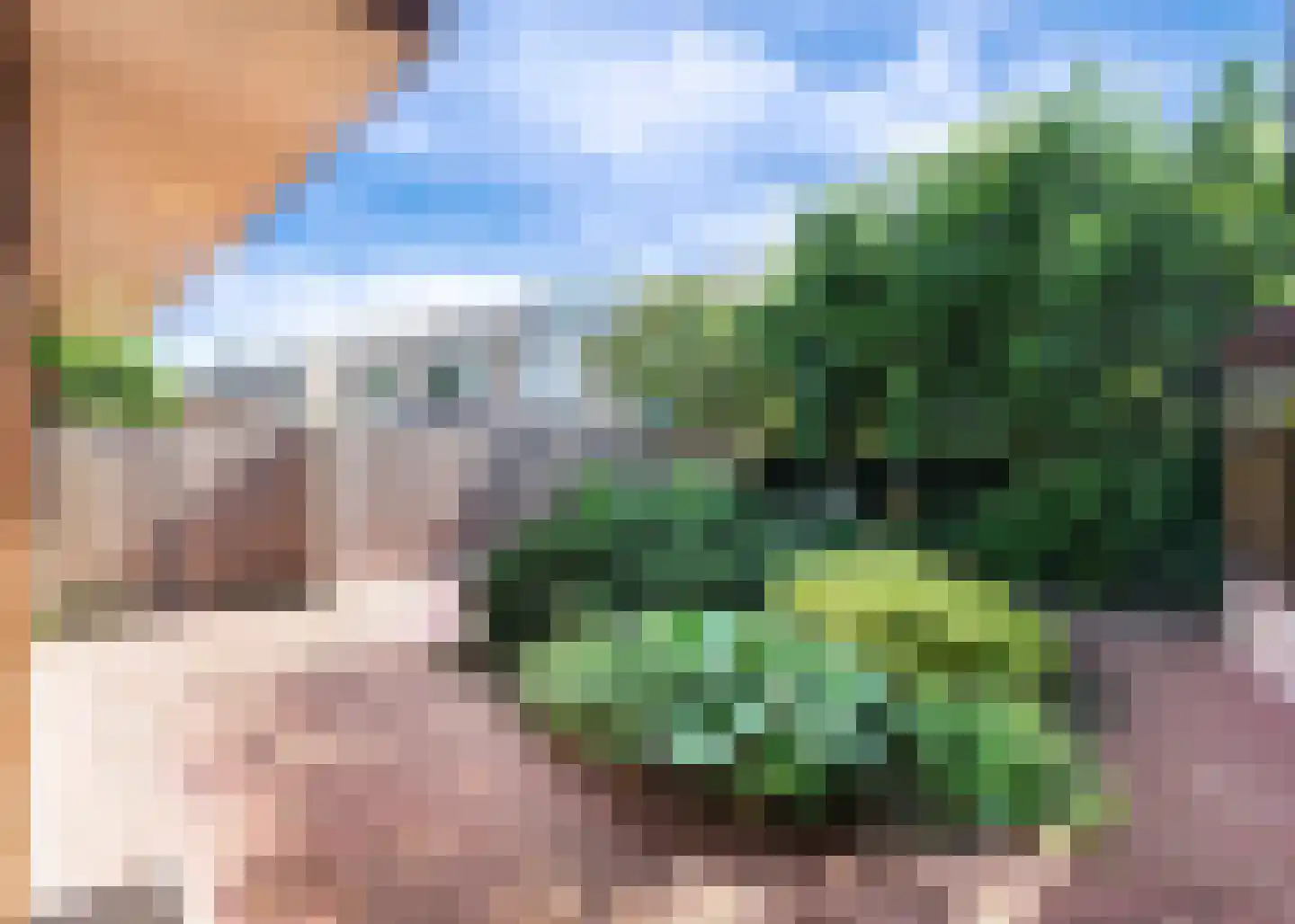 De Baan 23 Warmenhuizen thumbnail 40