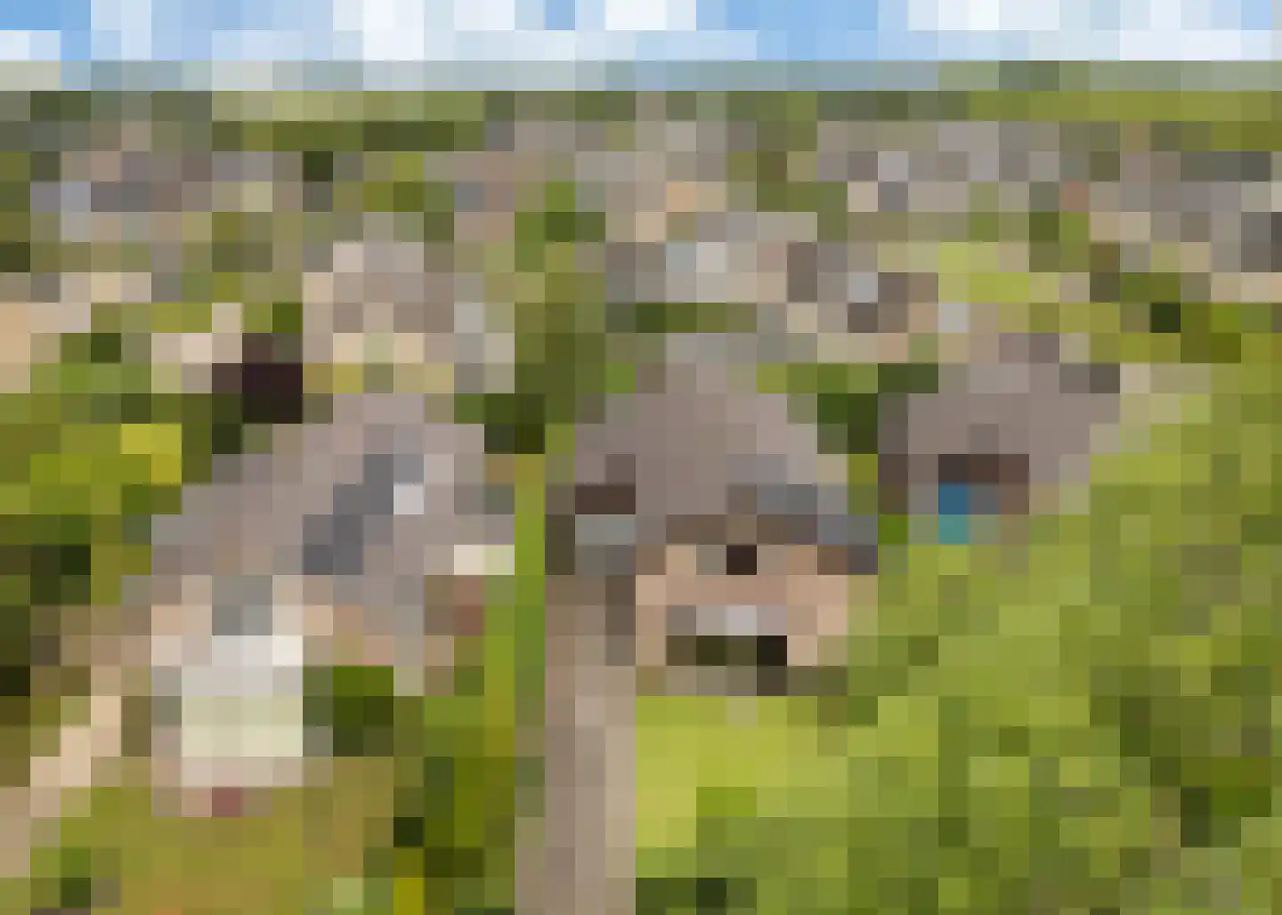De Baan 23 Warmenhuizen thumbnail 44