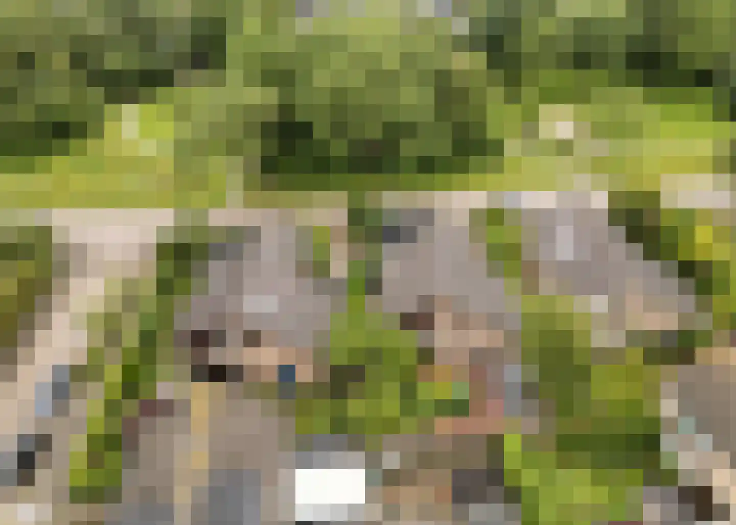 De Baan 23 Warmenhuizen thumbnail 45