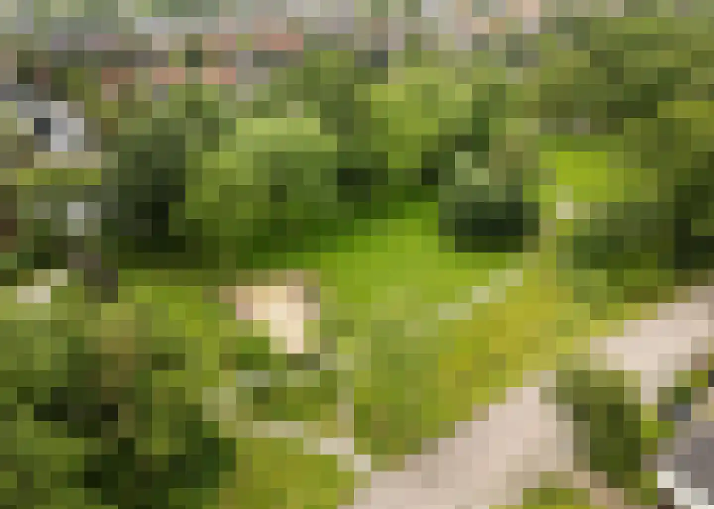 De Baan 23 Warmenhuizen thumbnail 46