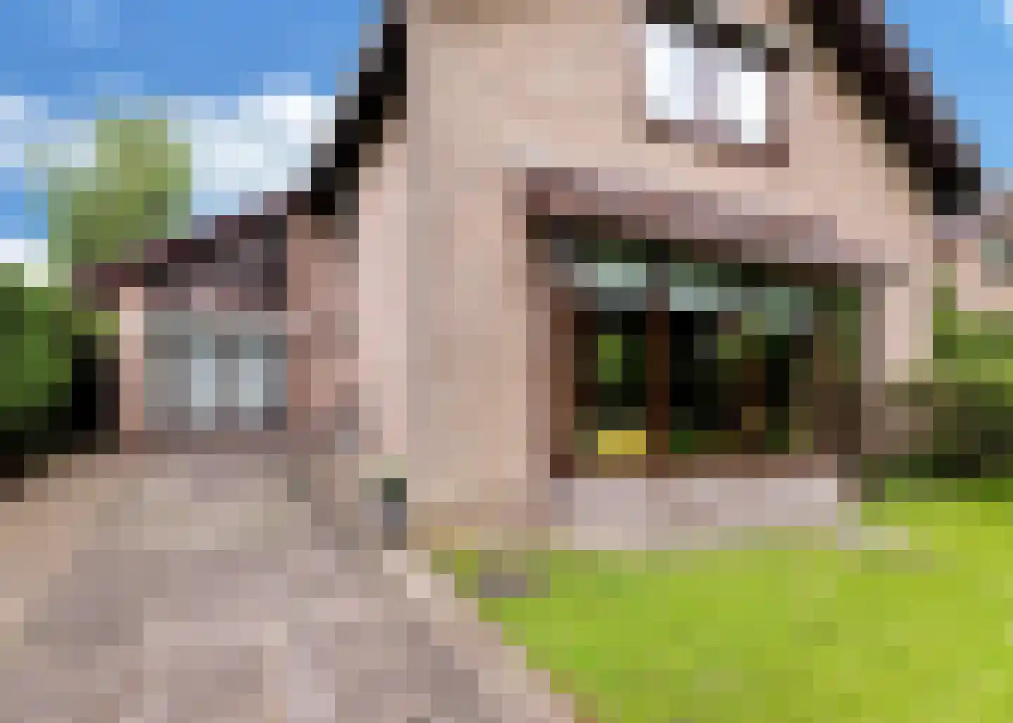 De Baan 23 Warmenhuizen thumbnail 47