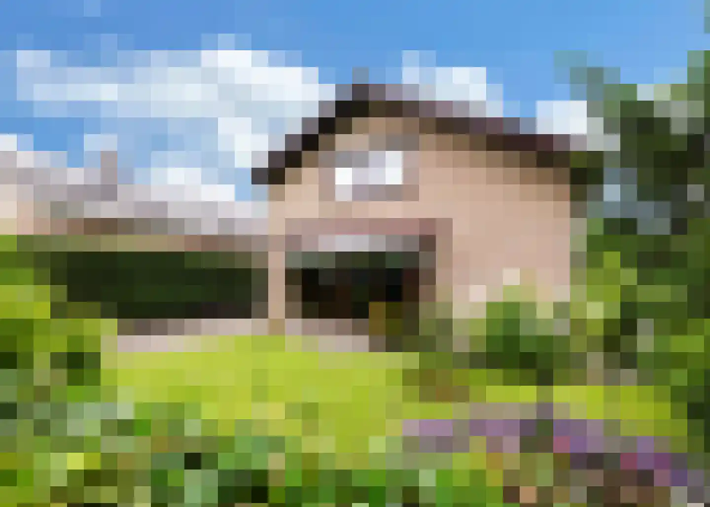 De Baan 23 Warmenhuizen thumbnail 48