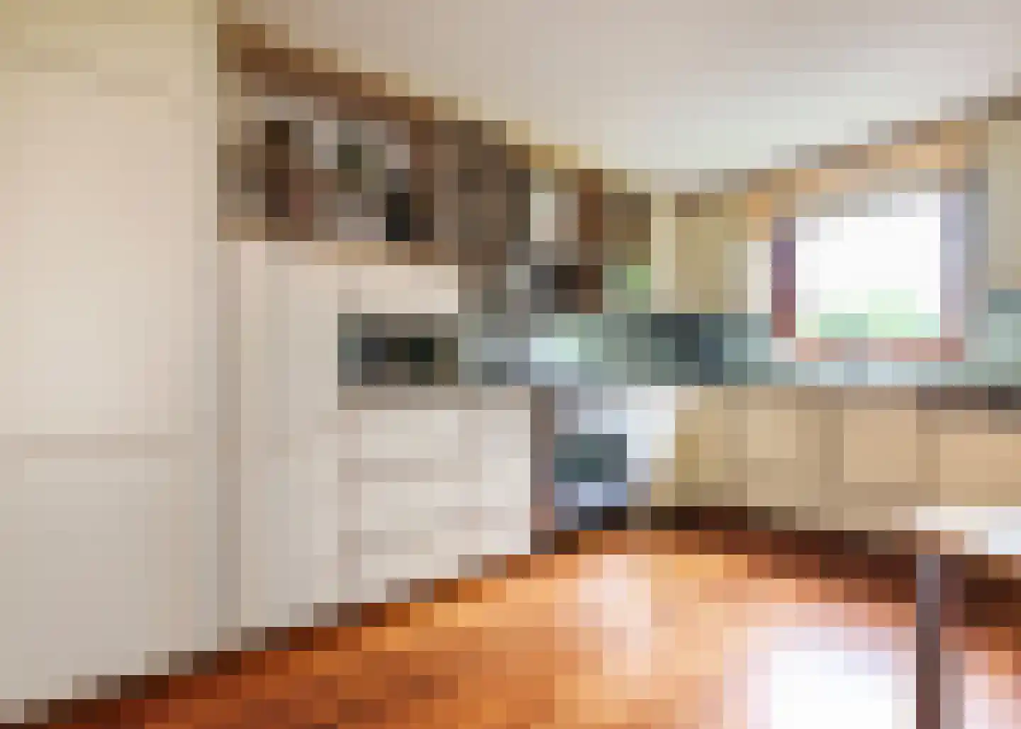 De Baan 23 Warmenhuizen thumbnail 7