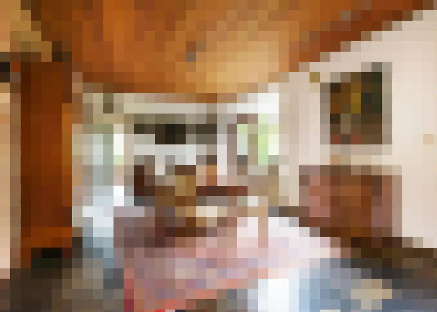 De Baan 23 Warmenhuizen thumbnail 9