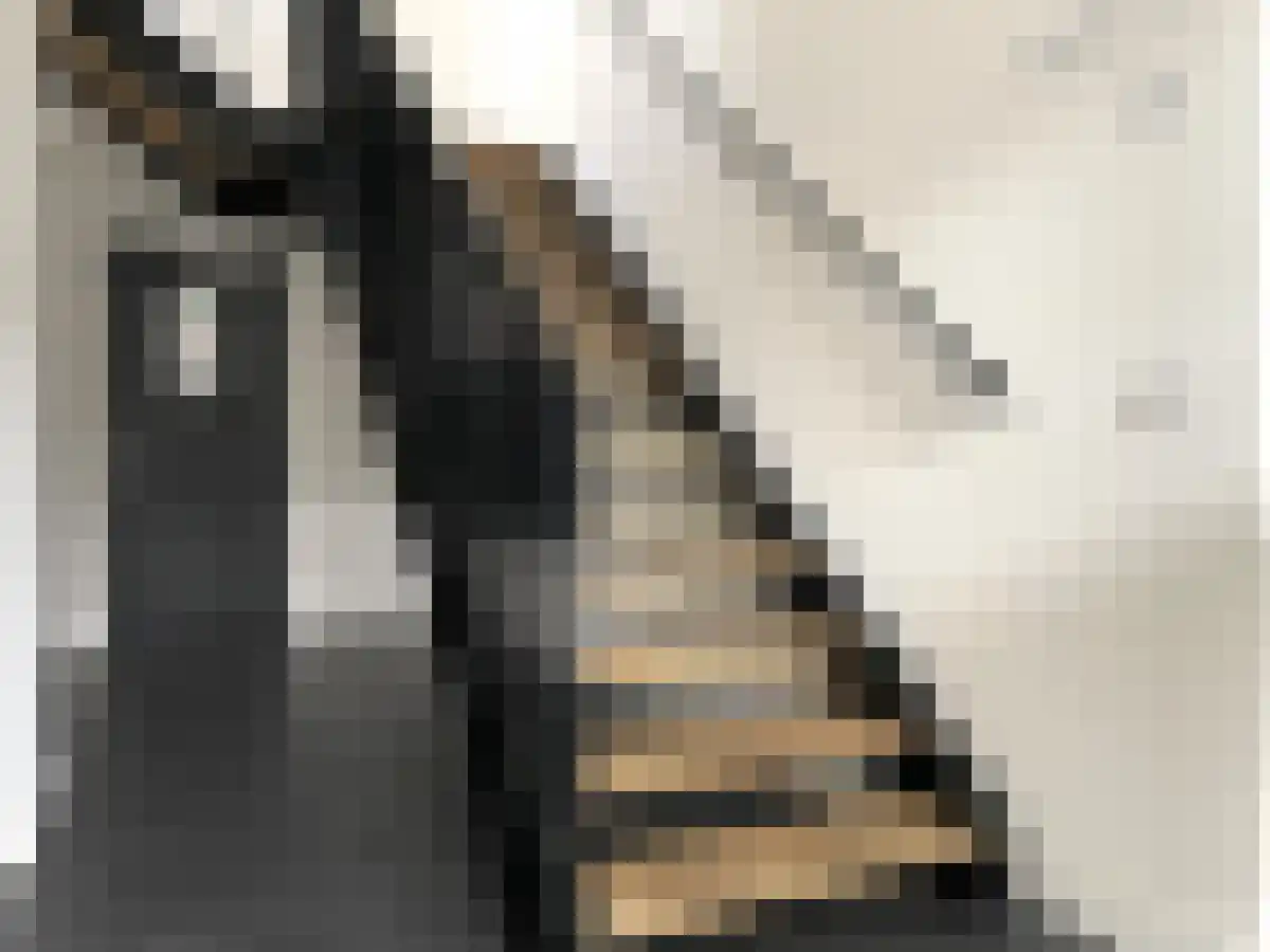 De Baan 4 Warmond thumbnail 6