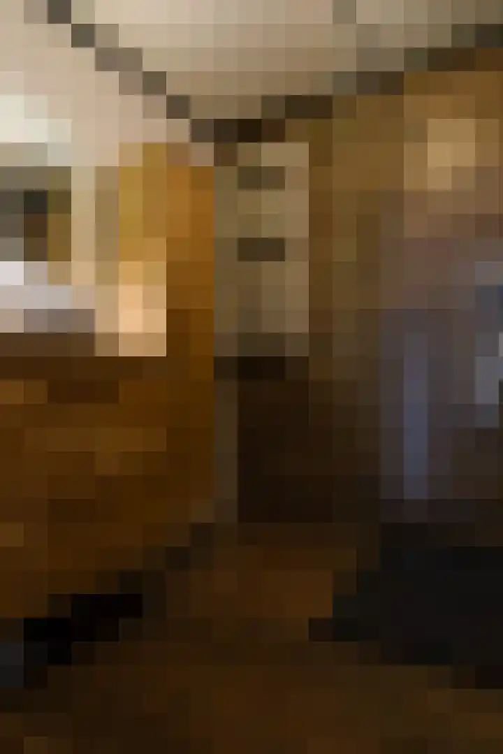 De Baan 48 Bocholtz thumbnail 12