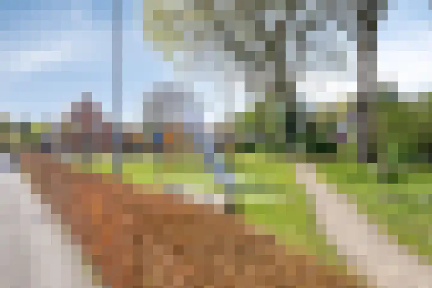 De Baander 10 Borger thumbnail 37
