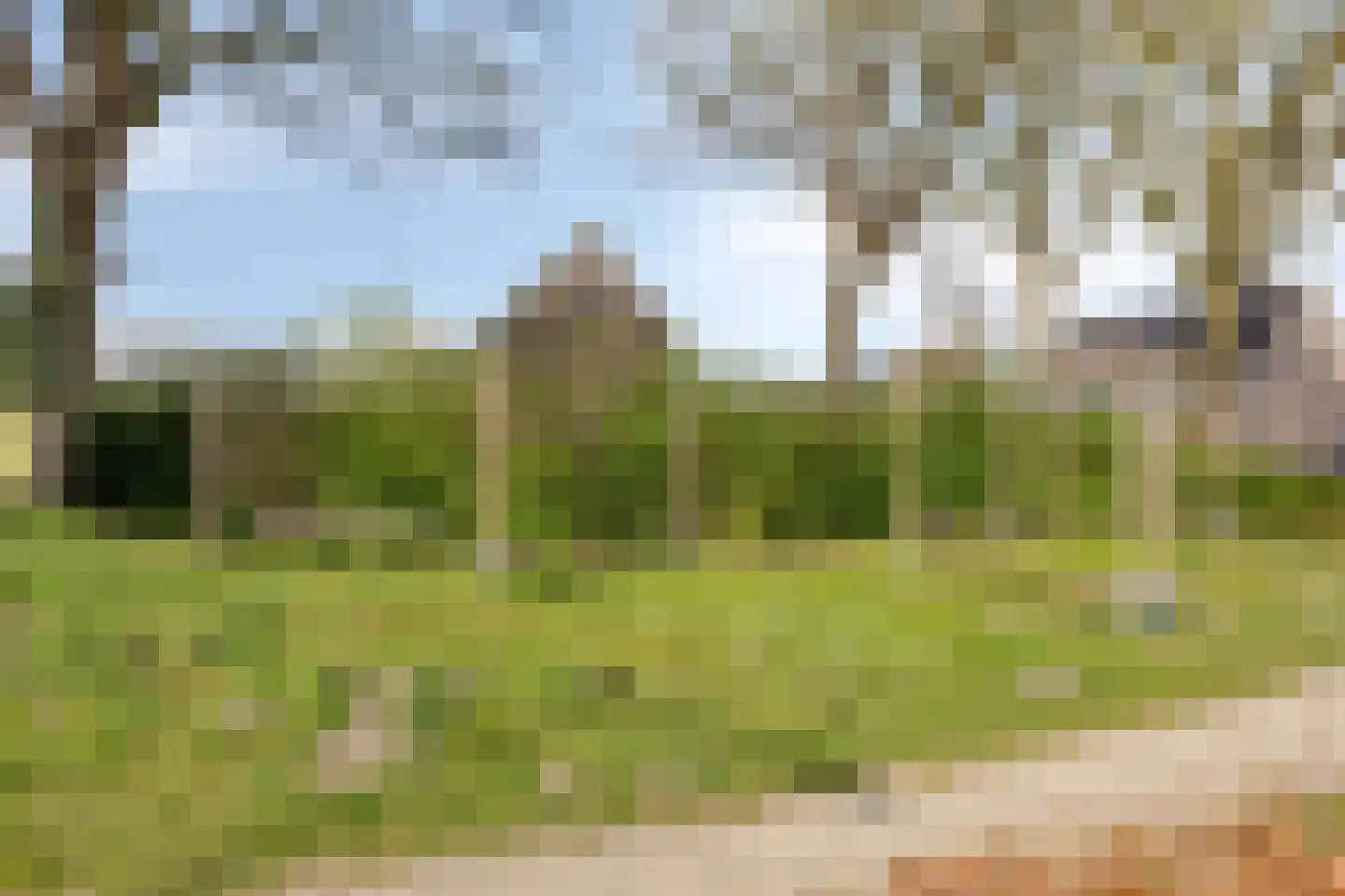 De Baander 10 Borger thumbnail 38