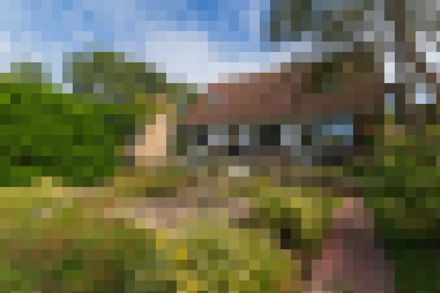 de Baander 18 Zuidlaren thumbnail 28