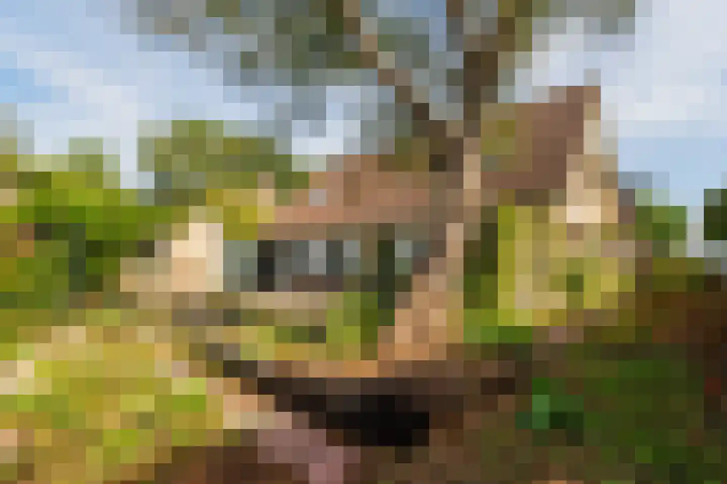 de Baander 18 Zuidlaren thumbnail 29