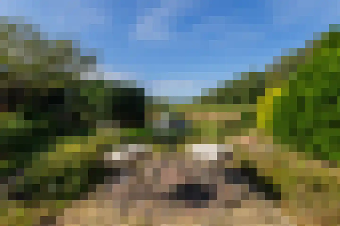 de Baander 18 Zuidlaren thumbnail 31