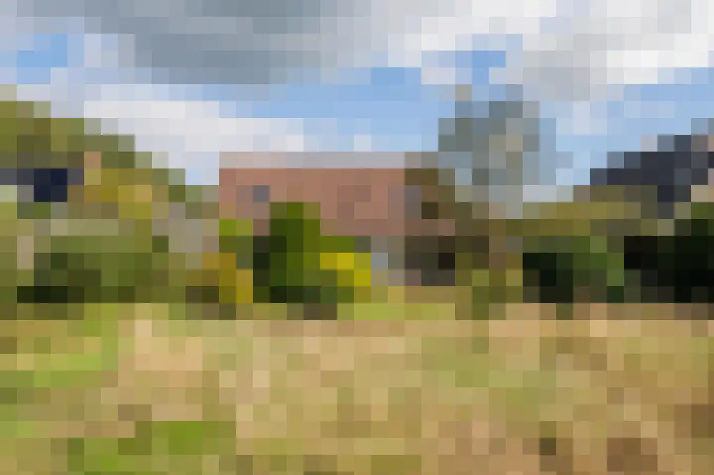 de Baander 18 Zuidlaren thumbnail 33