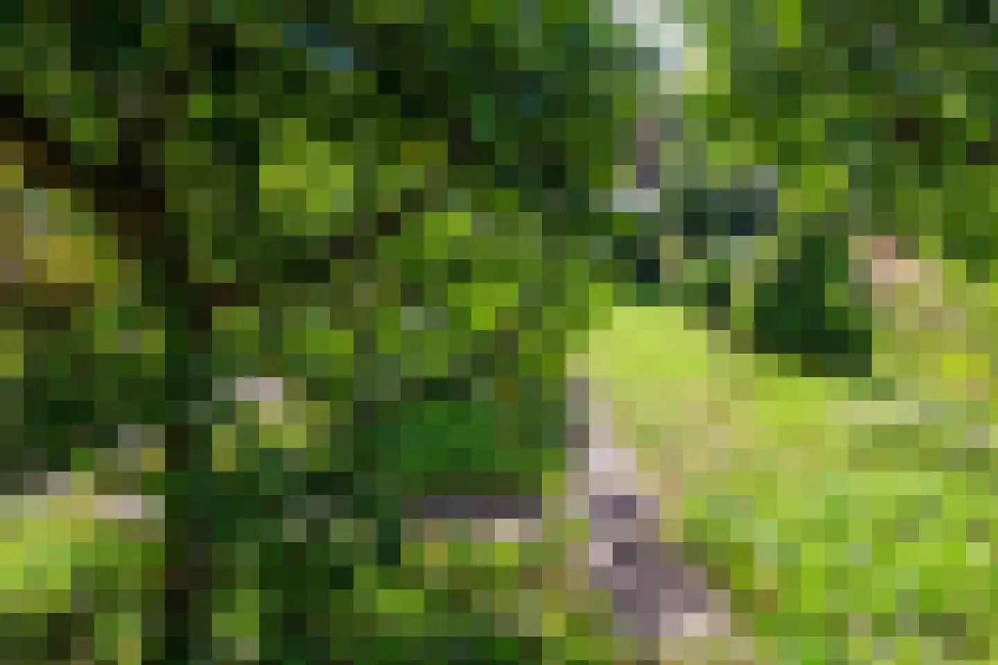 de Baander 18 Zuidlaren thumbnail 34