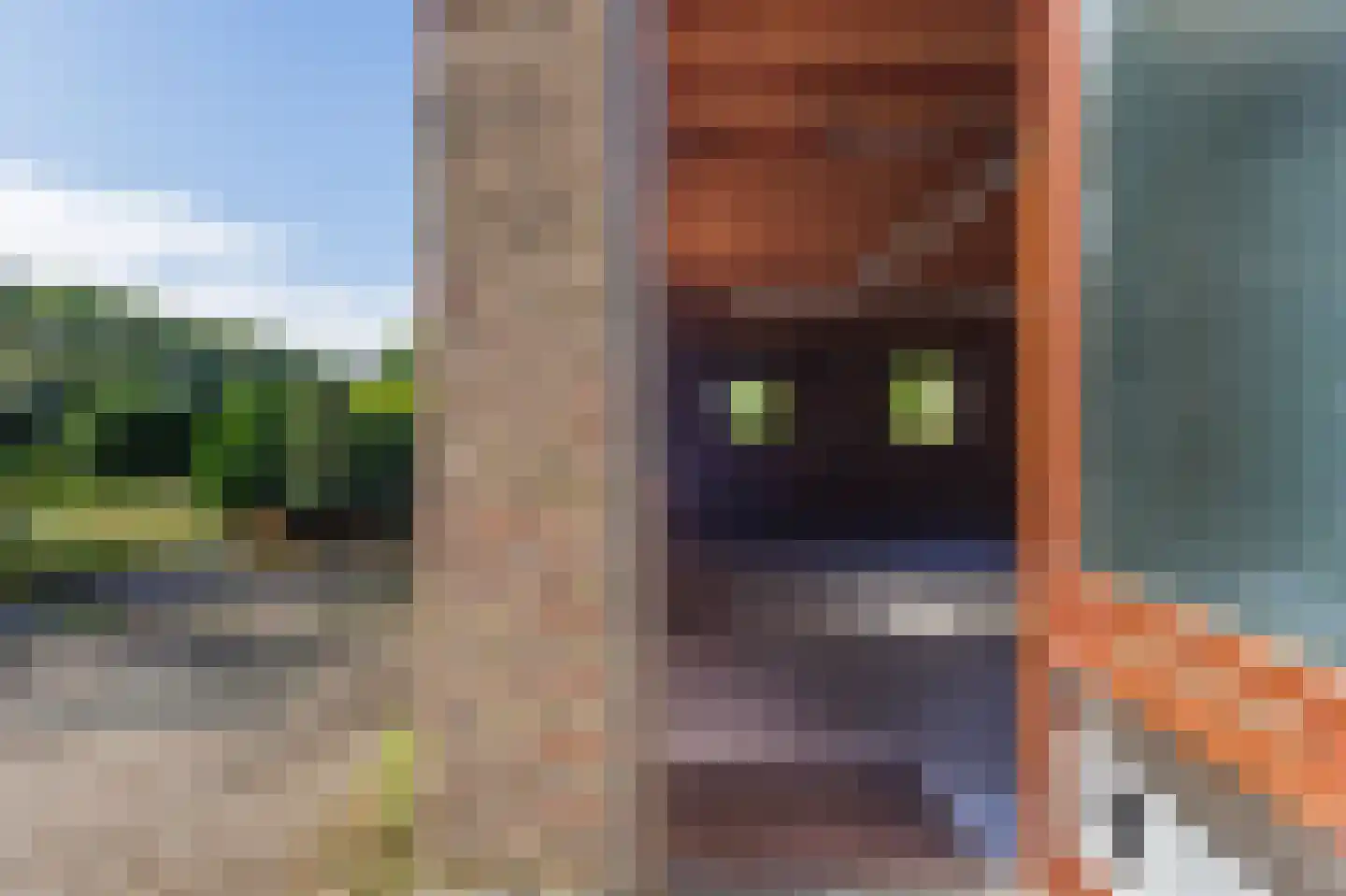 de Baander 18 Zuidlaren thumbnail 37