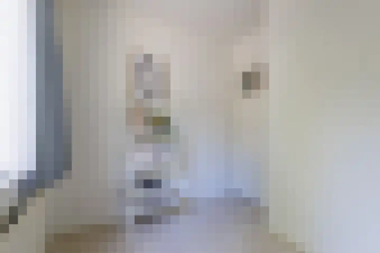 de Baander 18 Zuidlaren thumbnail 48
