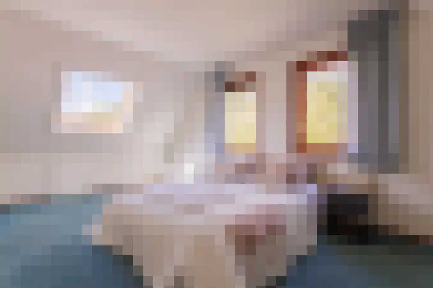 de Baander 18 Zuidlaren thumbnail 54