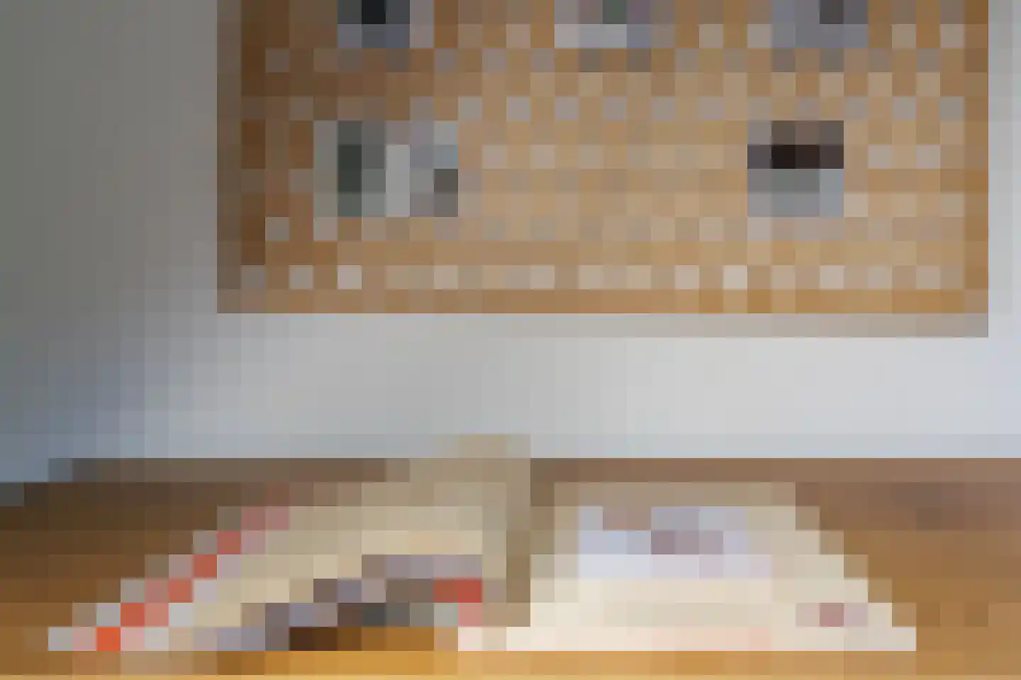 de Baander 18 Zuidlaren thumbnail 69