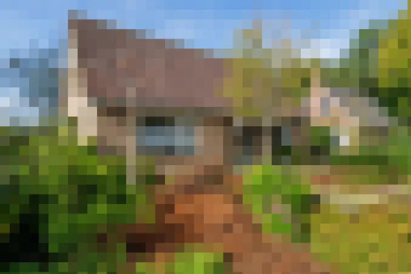 de Baander 18 Zuidlaren thumbnail 8