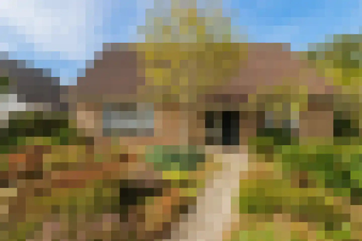 de Baander 18 Zuidlaren thumbnail 9