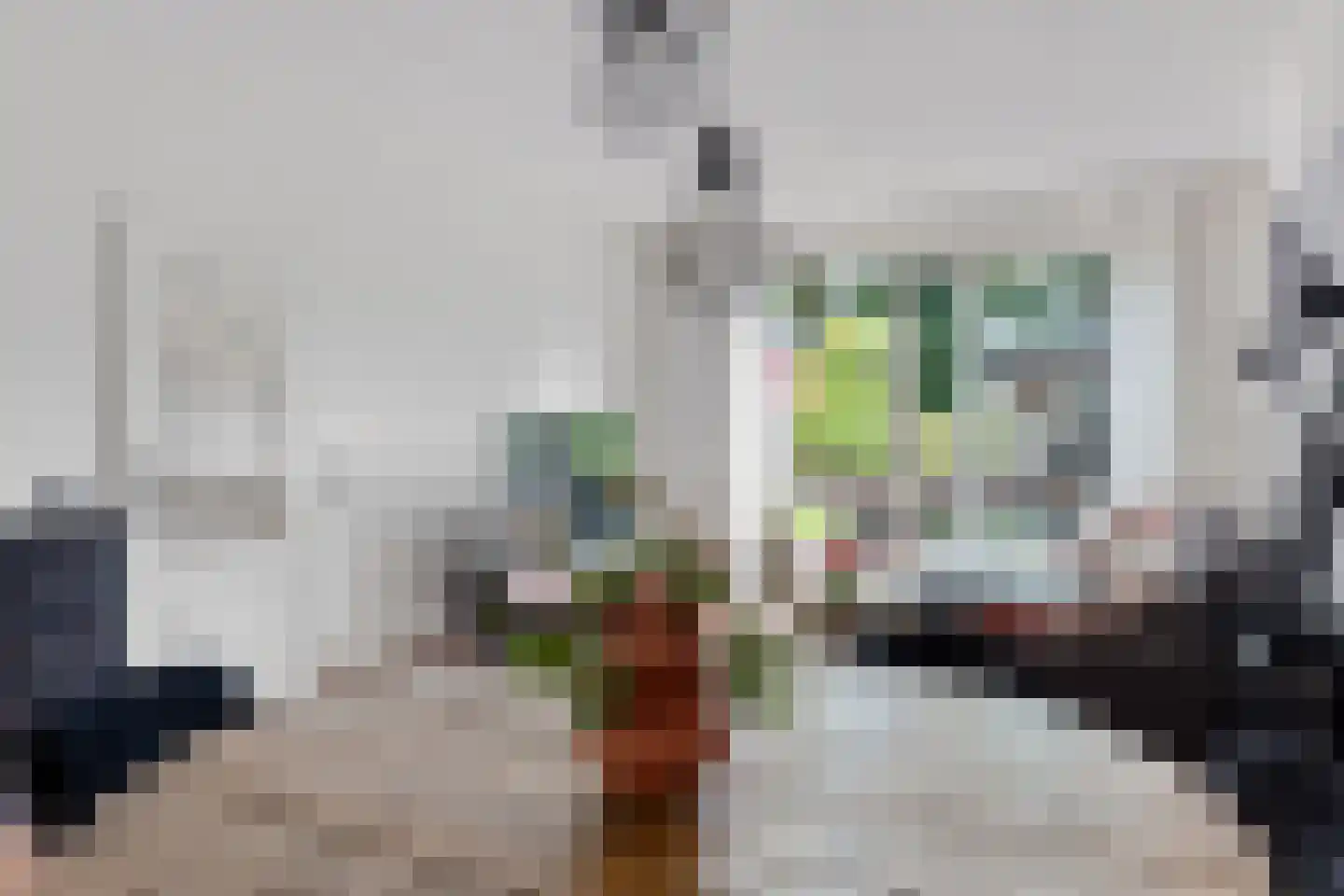 de Baander 19 Tolbert thumbnail 13