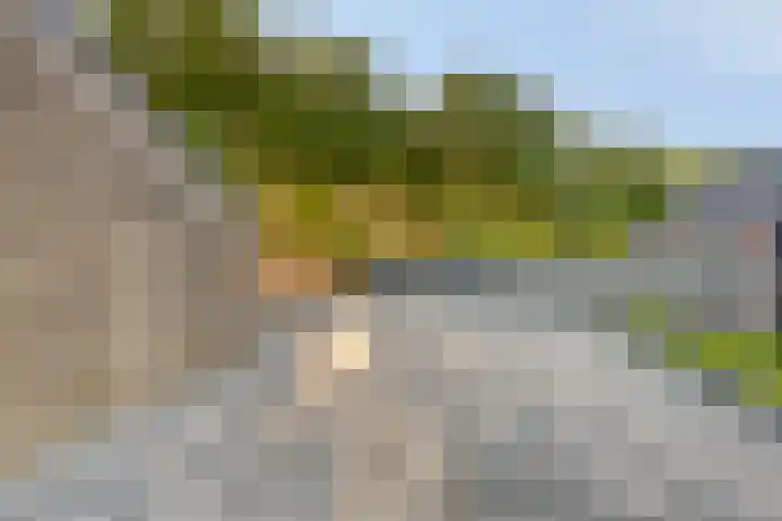 de Baander 24 Tolbert thumbnail 28
