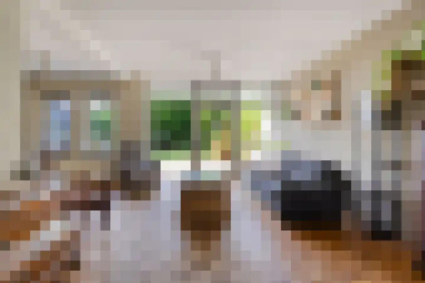 De Baander 39 Borger thumbnail 11