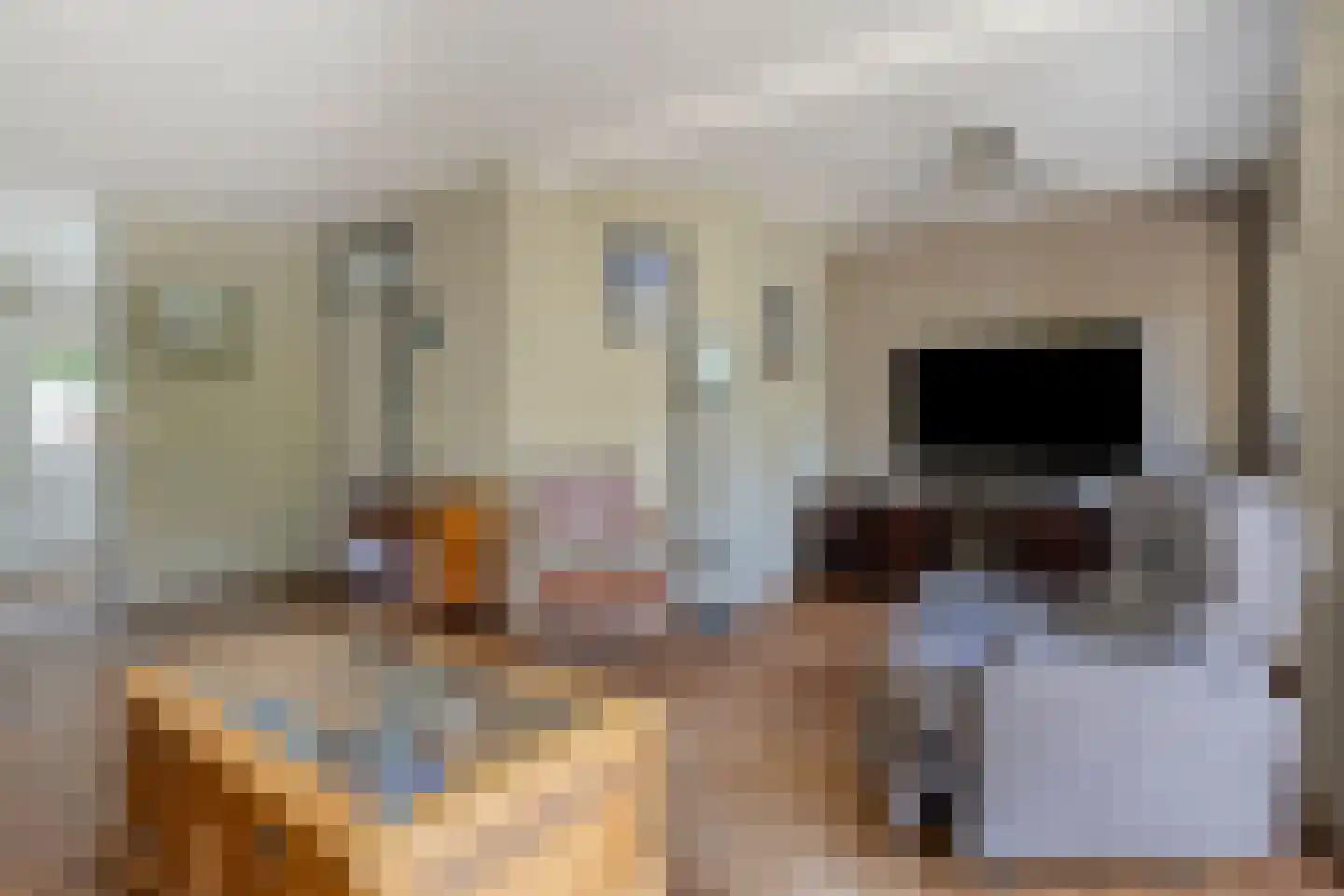 De Baander 39 Borger thumbnail 12