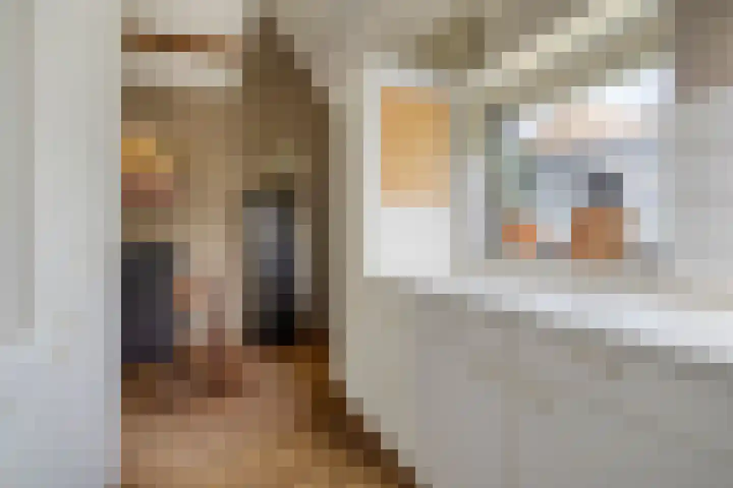 De Baander 39 Borger thumbnail 17
