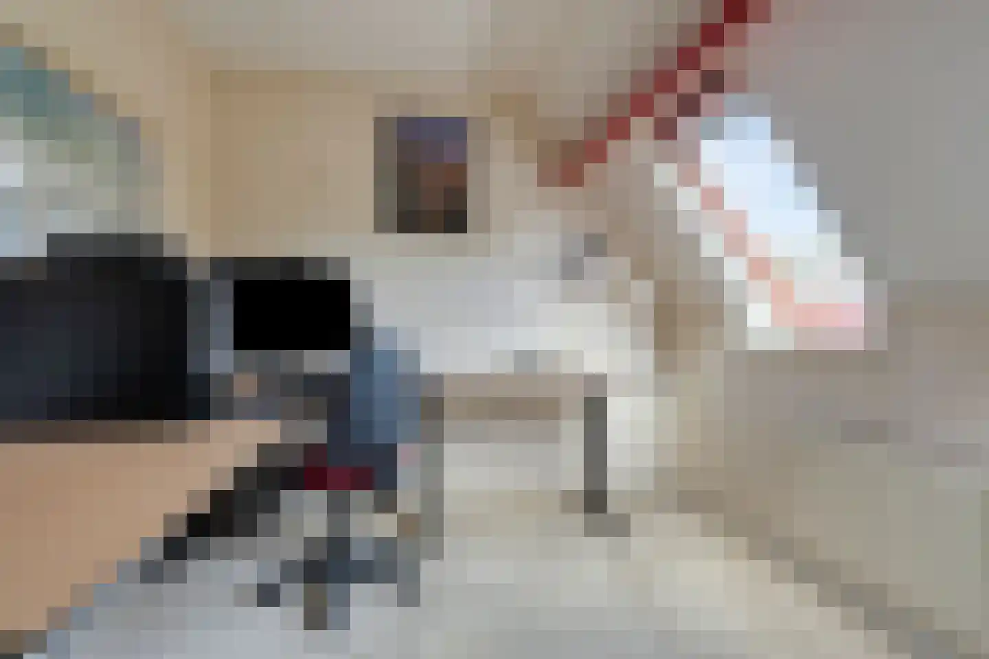 De Baander 39 Borger thumbnail 24