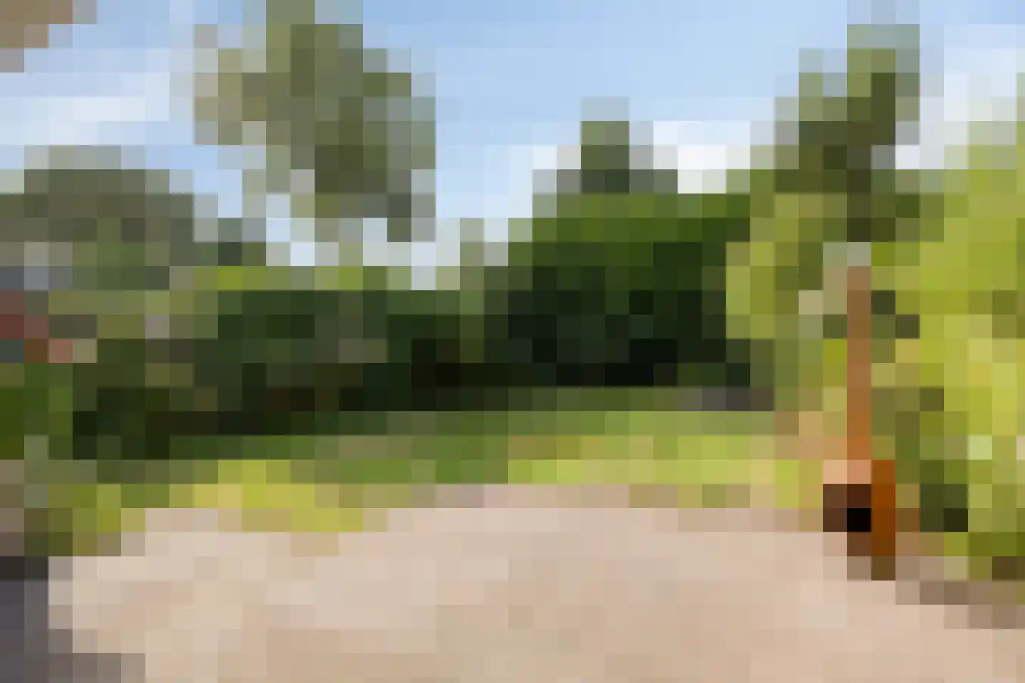 De Baander 39 Borger thumbnail 30