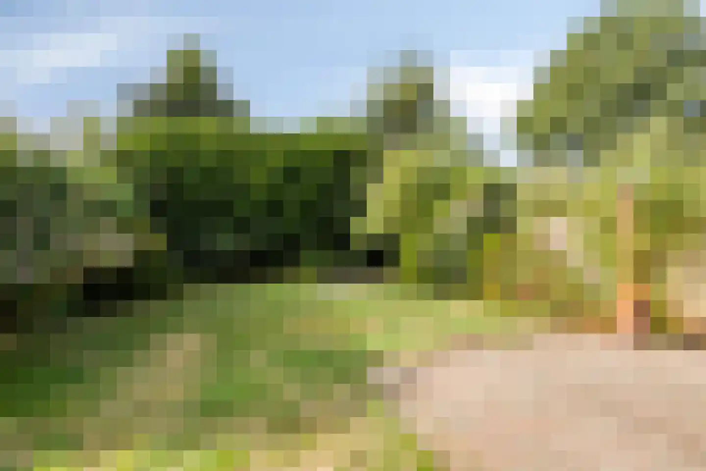 De Baander 39 Borger thumbnail 31