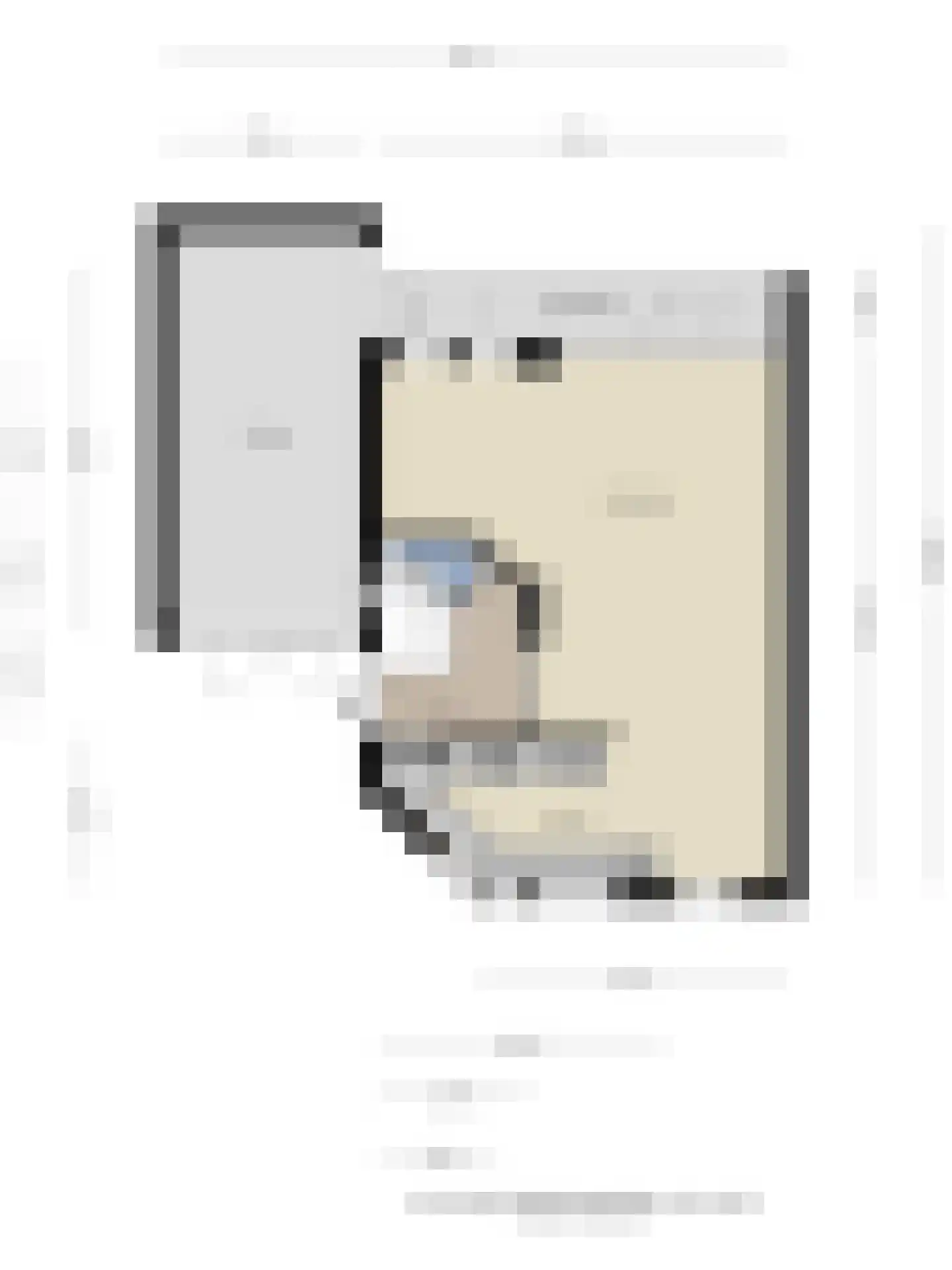 De Baander 39 Borger thumbnail 35