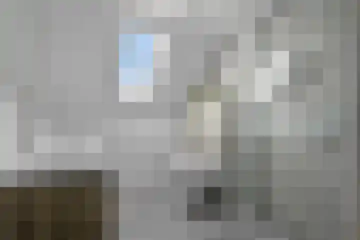 de Baansteen 4 Oirschot thumbnail 30