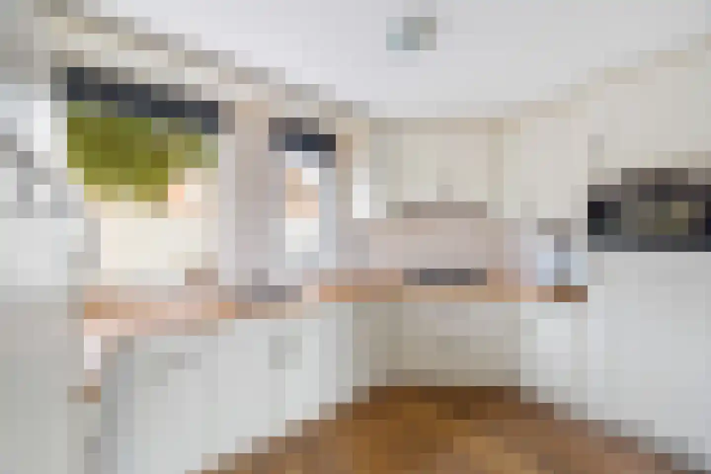 De Backerstraat 11 Poeldijk thumbnail 12