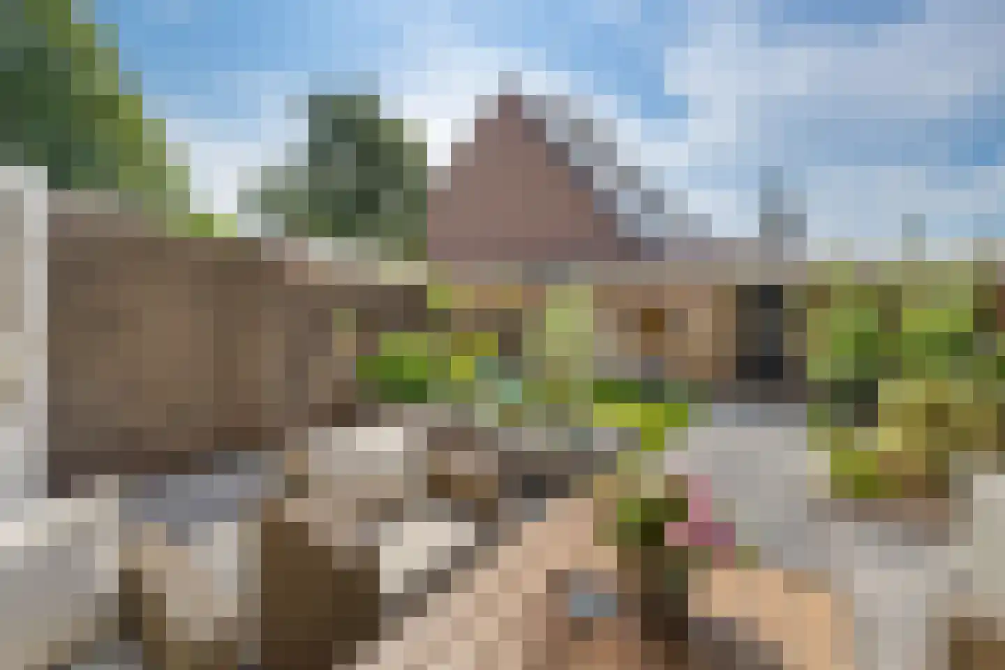 De Backerstraat 11 Poeldijk thumbnail 15