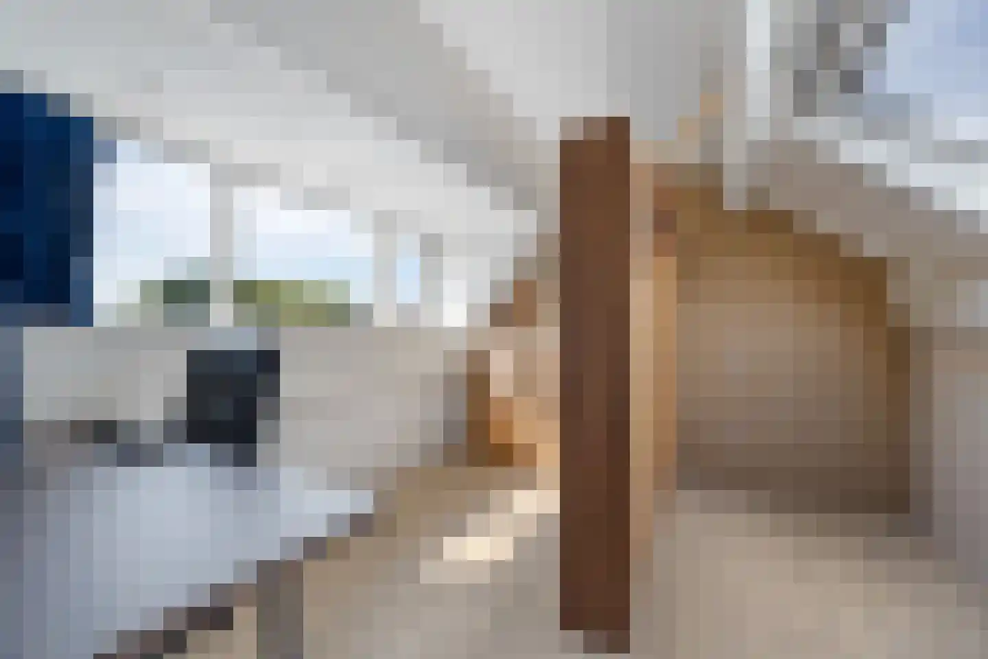 De Backerstraat 11 Poeldijk thumbnail 31