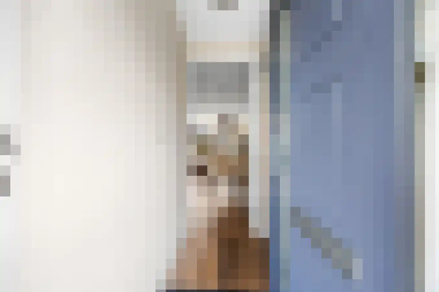 De Backerstraat 11 Poeldijk thumbnail 6