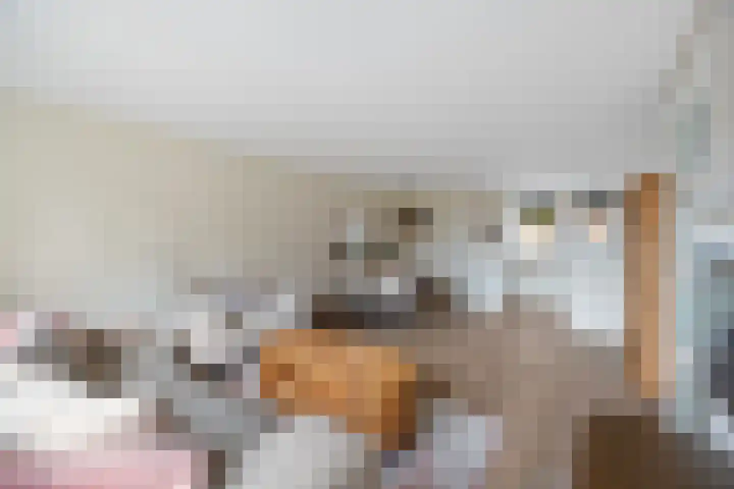 De Backerstraat 11 Poeldijk thumbnail 9