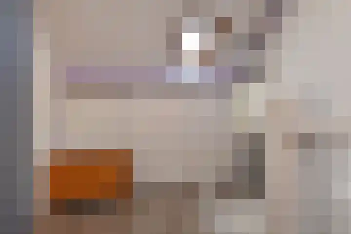 De Backerstraat 15 Poeldijk thumbnail 30